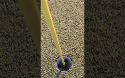 is it a pitch mark or a divot? #golf [Video]